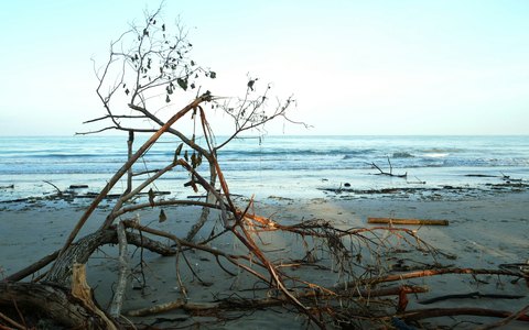 Kahle Treibholzäste liegen im Sand des Strandes von Jimbaran, dahinter das Meer unter blassem Himmel