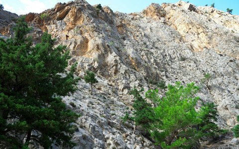 Steile Felswand mit grünen Bäumen auf ihren Vorsprüngen vor blauem Himmel