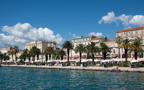 Blick auf die Palmen entlang der Uferpromenade von Split vor hellen Steingebäuden
