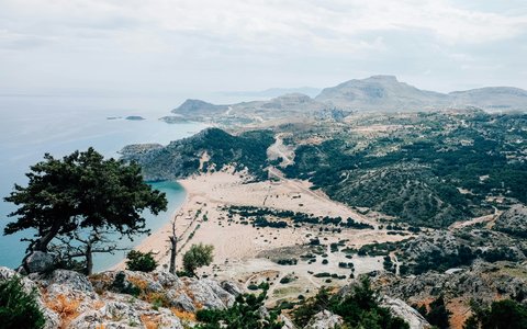 Der Tsambika-Strand und seine Sandbucht, vom Hang darüber gesehen, davor Pinien