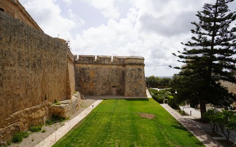 Hohe Steinmauern von Mdina über einer grünen Rasenfläche und einer hohen Pinie unter blauem Himmel mit weißen Wolken