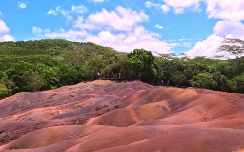 Gewellte Dünen aus roter und violetter Erde bei Chamarel vor grünem Wald