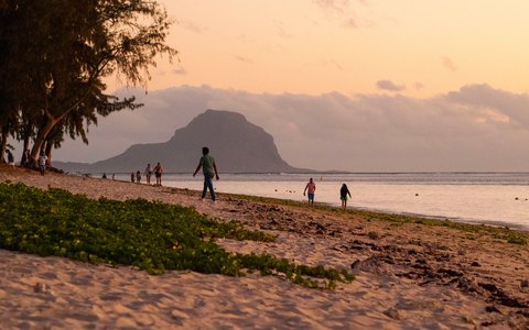 Blick auf den Strand von Flic en Flac bei Sonnenuntergang mit Bäumen auf dem Sand