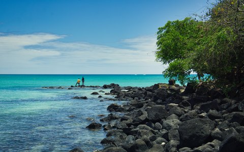 Türkisfarbenes Wasser neben dunklen Felsen und einem grünen Baum am Strand La Cuvette in Grand Baie