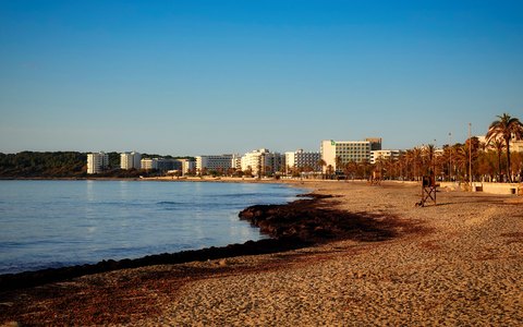 Ein geschwungener Sandstrand mit Hotels an der Promenade und Palmen in Cala Millor bei tiefstehender Abendsonne