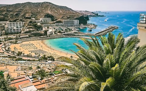 Sandstrand und türkisfarbene Bucht unterhalb der Wohnungen am Hang von Puerto Rico, mit Palmenblättern im Vordergrund