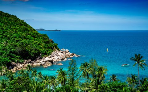 Eine tropische Küste auf Koh Samui mit Palmen, grünen Hügeln und tiefblauem Meer
