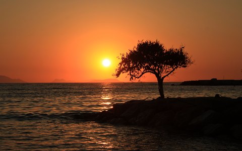 Ein einzelner Baum als Silhouette auf einer felsigen Landspitze vor orangefarbenem Sonnenuntergang über dem Meer bei Turgutreis